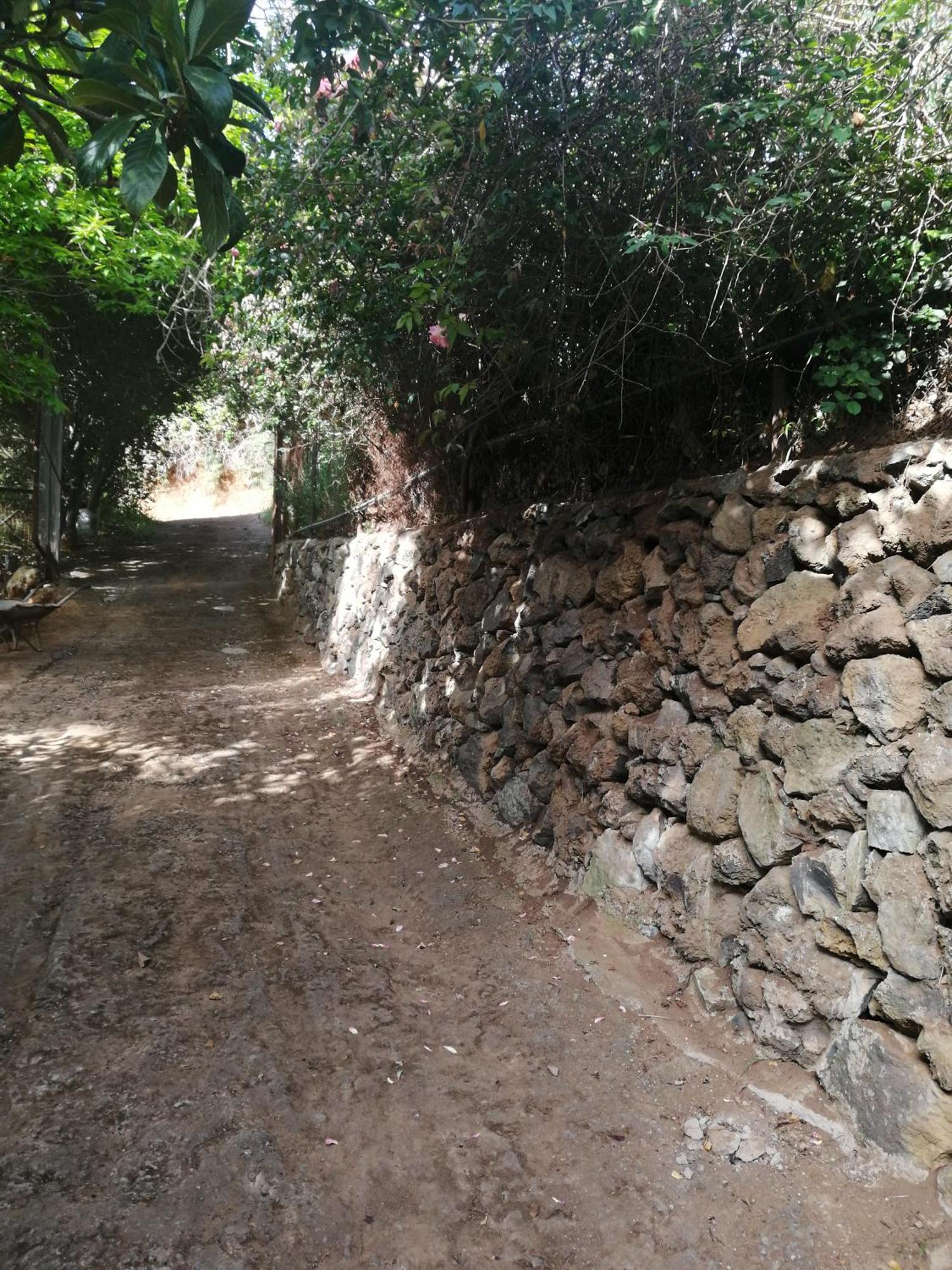 Casa Ecologica, Autosuficiente En Lomo Blanco, Dentro De Una Casa Rodeada De Naturaleza San Juan de la Rambla Eksteriør billede