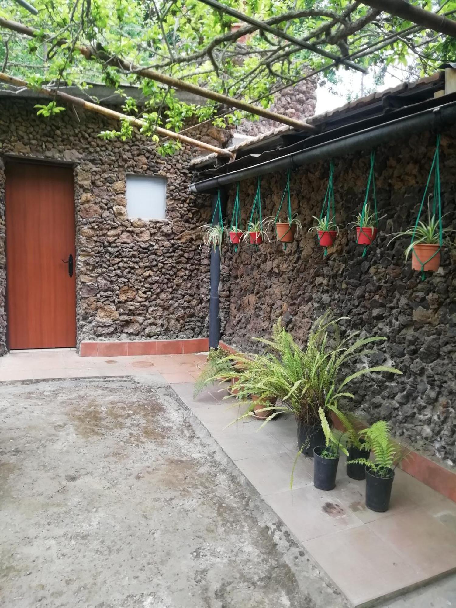 Casa Ecologica, Autosuficiente En Lomo Blanco, Dentro De Una Casa Rodeada De Naturaleza San Juan de la Rambla Eksteriør billede